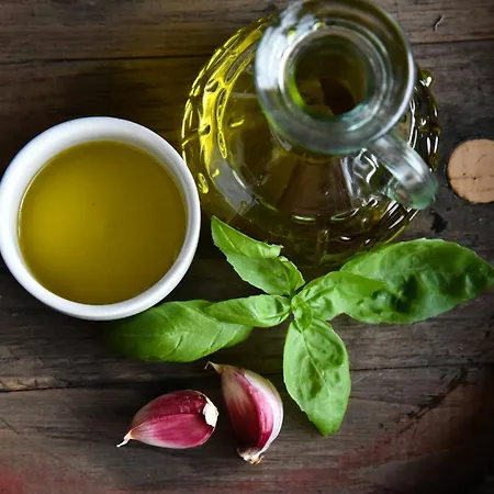 Villa Istrian Embrace - Carla Istrska Hisa