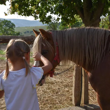 Istrian Embrace - Carla Istrska Hisa Βίλα Κόπερ