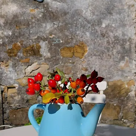 Βίλα Istrian Embrace - Carla Istrska Hisa