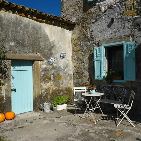 Villa Istrian Embrace - Carla Istrska Hisa *