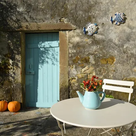 Villa Istrian Embrace - Carla Istrska Hisa