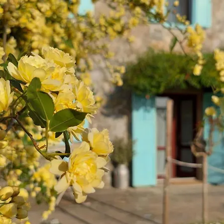 Villa Istrian Embrace - Carla Istrska Hisa *