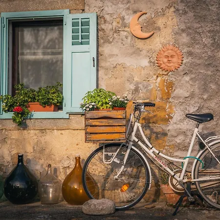 Villa Istrian Embrace - Carla Istrska Hisa *