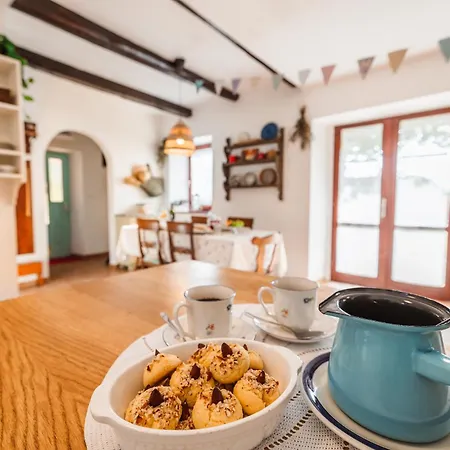 Villa Carla Istrska Hisa *