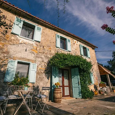 Istrian Embrace - Carla Istrska Hisa Villa Koper