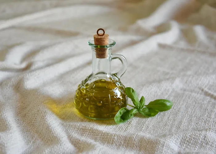 Villa Istrian Embrace - Carla Istrska Hisa *