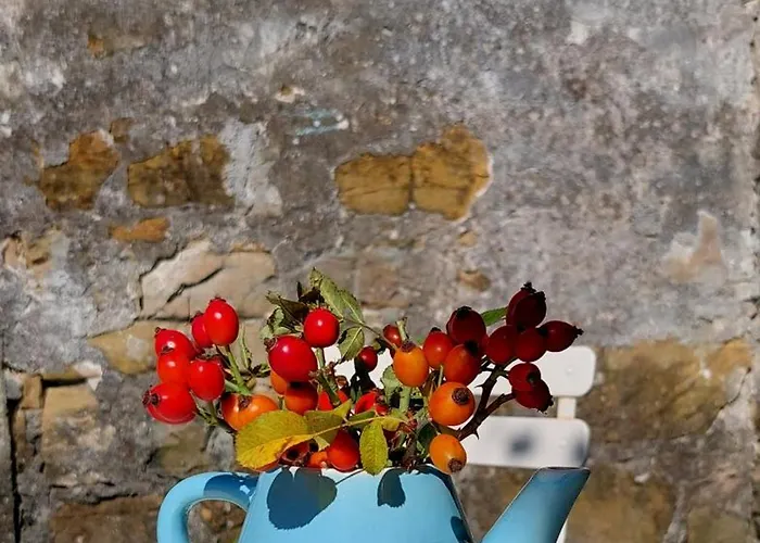 Villa Istrian Embrace - Carla Istrska Hisa