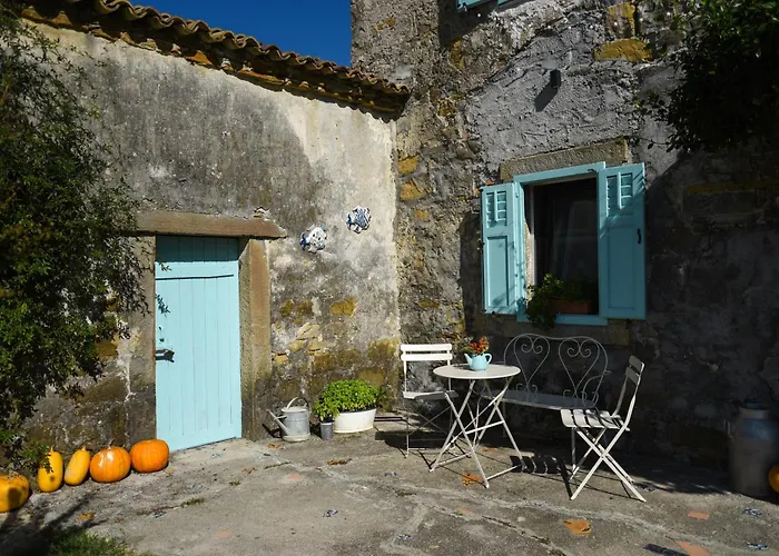 Villa Istrian Embrace - Carla Istrska Hisa *