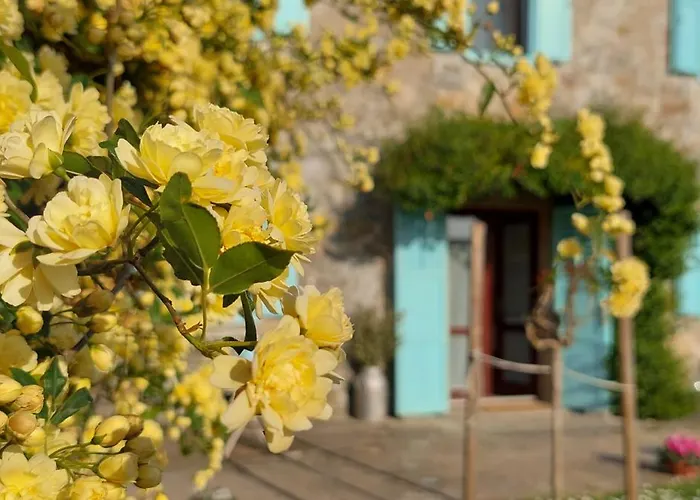 Villa Istrian Embrace - Carla Istrska Hisa *