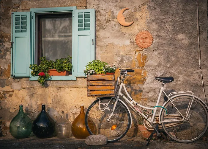 Villa Istrian Embrace - Carla Istrska Hisa *