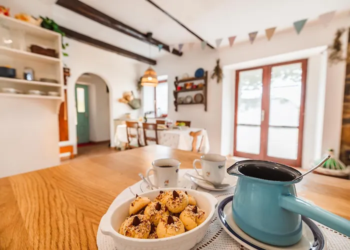 Villa Istrian Embrace - Carla Istrska Hisa *